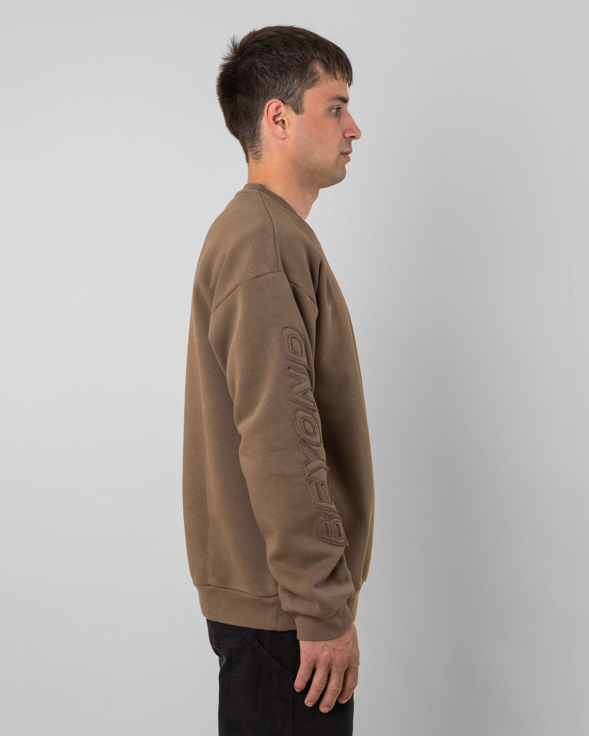 Streetwear clothing, incognito crewneck in brown worn by model, Beyond Medals, 2024, side2